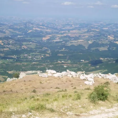 La Sibilla Parco فندق سارنانو